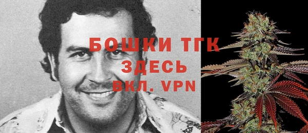 тгк Мегион