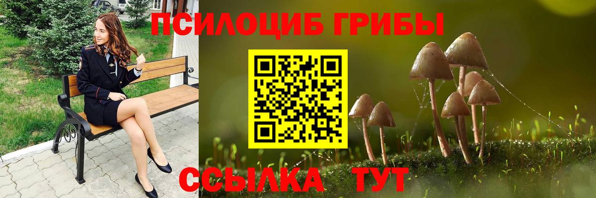 Галлюциногенные грибы Psilocybine cubensis  купить закладку  Псилоцибиновые грибы Magic Shrooms  Белая Калитва 